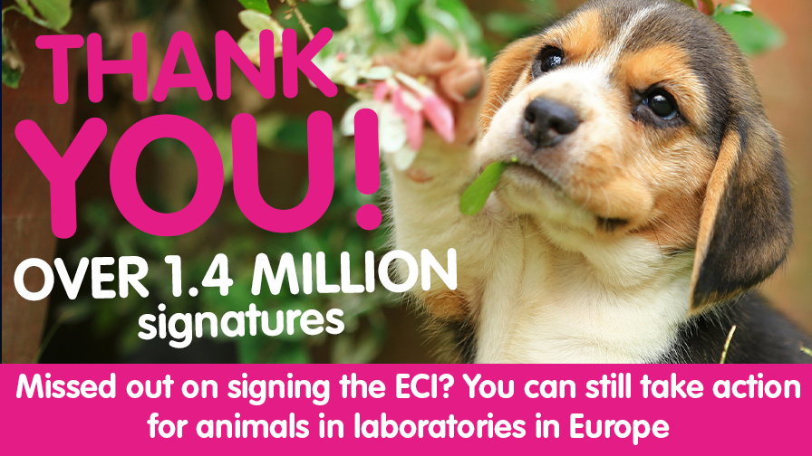  million people support record-breaking second ECI for animals in  laboratories | Cruelty Free Europe