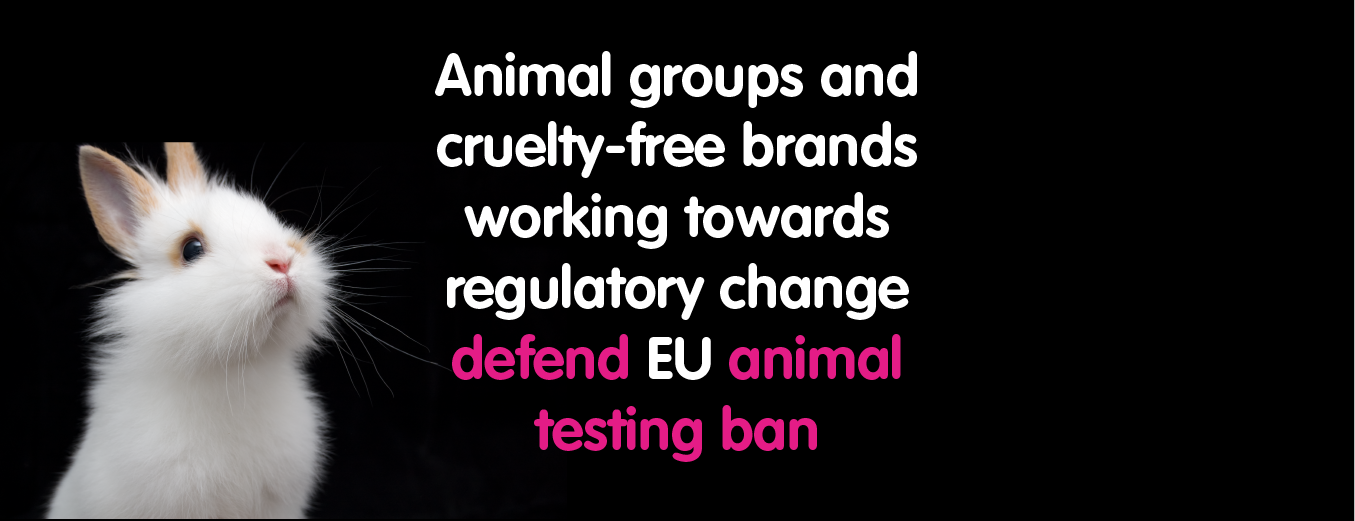 Animal groups and cruelty-free brands working towards regulatory change  defend EU animal testing ban | Cruelty Free Europe